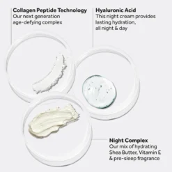 Protect & Perfect Intense Advanced Night Cream -Skin Care Specialty Store 13554894 1334926532211439