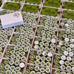 Sample Pack Balms 9 Sample Pack Balms -Skin Care Specialty Store 6B46D204 8E5C 41A9 BAD6 266548883F95 scaled