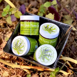 Wild Yam Hemp Balm 19 Wild Yam Hemp Balm -Skin Care Specialty Store BD371A81 B3AD 4AA2 B1E6 98C967B1EEC0