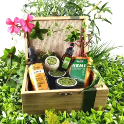 Gift Box Large -Skin Care Specialty Store Gift Box Med w Plants scaled