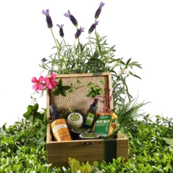 Gift Box Large -Skin Care Specialty Store Gift Box Med w Plants3