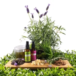 Strength Beard Oil -Skin Care Specialty Store Strength and Shine w Ingredients5 5380a789 fd05 40dd af4c d3437f9d50c1